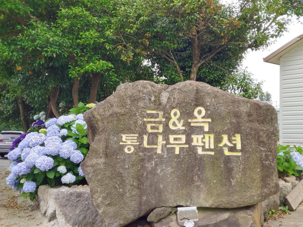 Geumok Log Pension Seogwipo Exterior foto